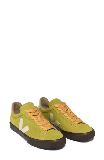 Veja Campo Pierre Low Lace Sneaker In Green