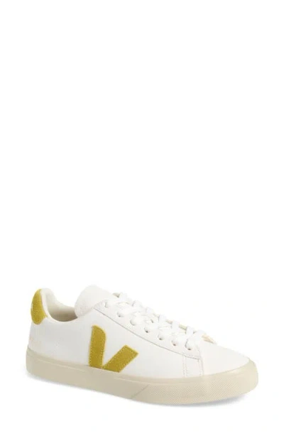 Veja Campo Lace-up Sneakers In Multi