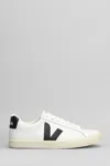Veja Campo Sneakers In White