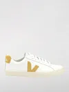 Veja Campo Sneakers In White