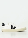 Veja Campo Sneakers In White