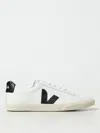 Veja Campo Sneakers In White