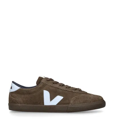 Veja Suede Volley Eagle Swan Sneakers In Brown