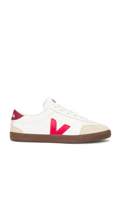 Veja Volley Panelled Leather Sneakers In White