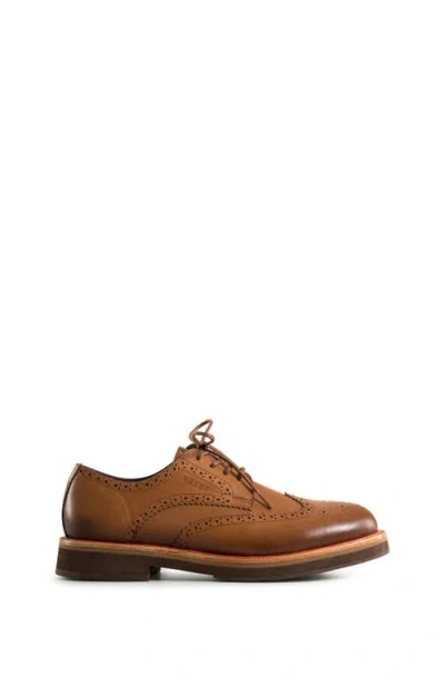 Velez Brogue Leather Shoes With Traditional Cuts In Brown