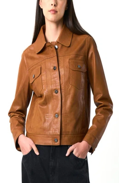Velez Kalahari Genuine Leather Semi-fitted Silhouette Trucker Jacket In Brown