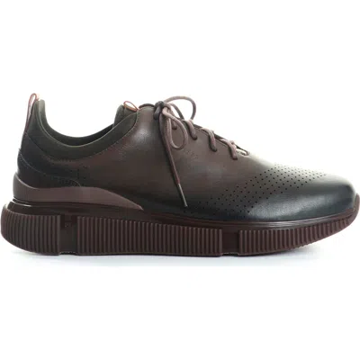 Velez Leather Lace-up Shoes In Brown