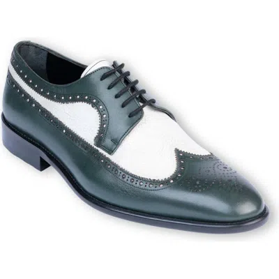 Vellapais Antigon Wingtip Derby In Black