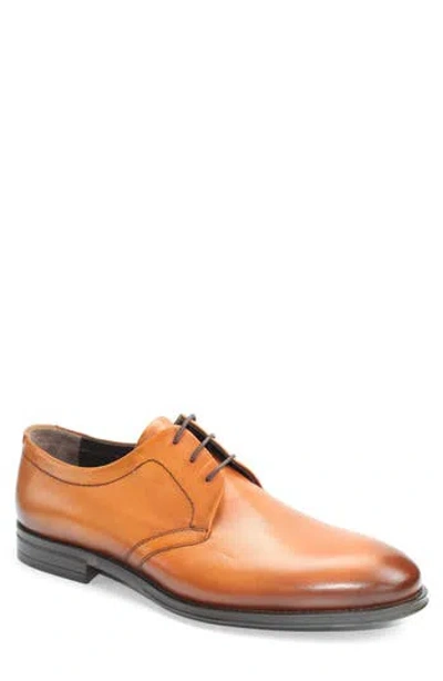 Vellapais Baltimore Plain Toe Derby In Brown