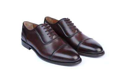 Vellapais Bowery Cap Toe Oxford Dress Shoes In Brown