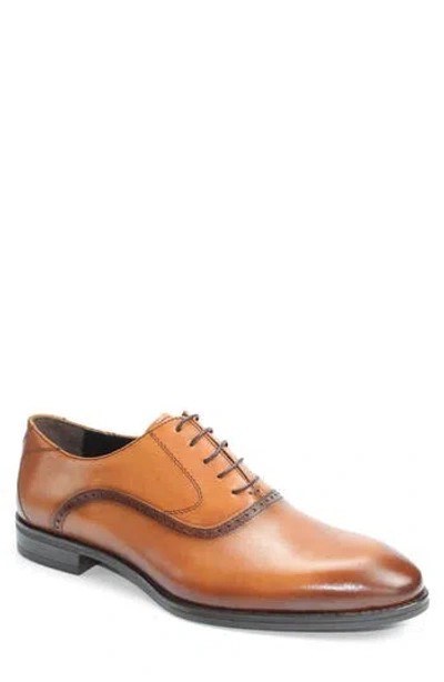Vellapais Bristol Plain Toe Oxford In Brown