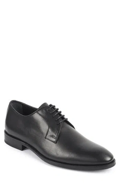 Vellapais Campiello Derby In Black