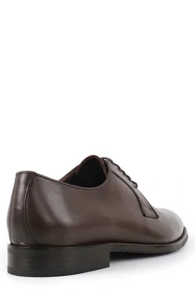 Vellapais Campiello Derby In Brown