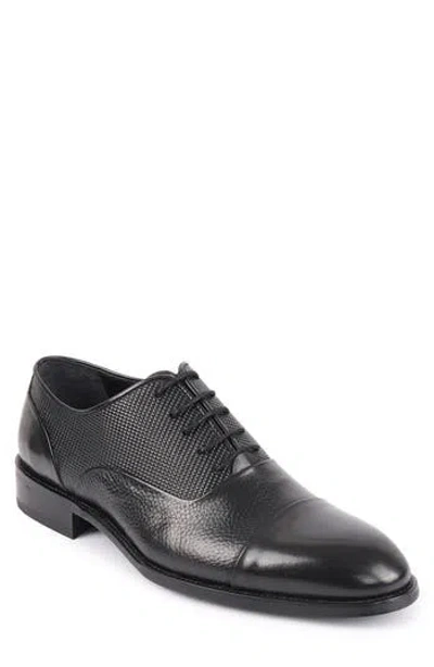 Vellapais Campo Oxford In Black