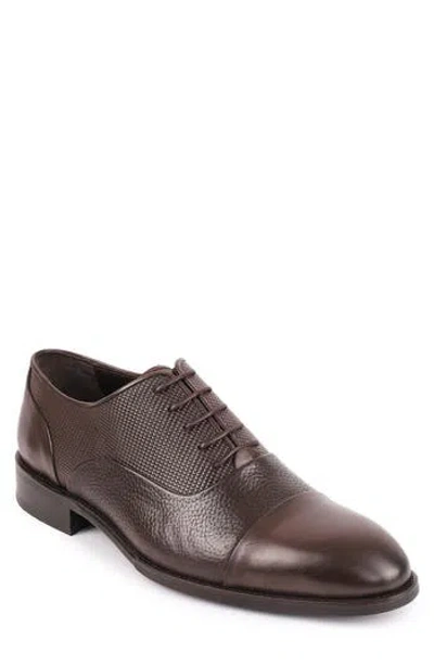 Vellapais Campo Oxford In Brown