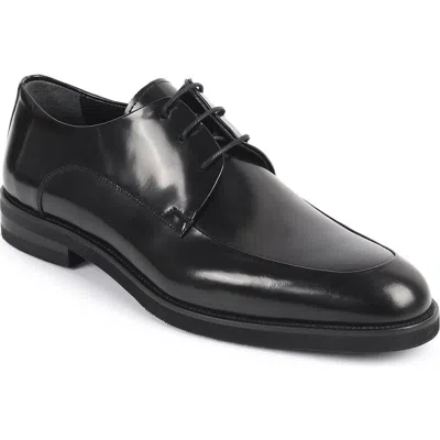 Vellapais Caronari Plain Toe Derby In Black
