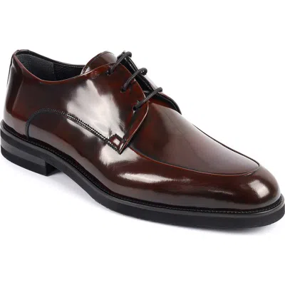 Vellapais Caronari Plain Toe Derby In Burgundy