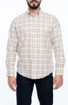 Vellapais Check Cotton Slim Fit Button Down Shirt In Beige