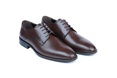 Vellapais Cira Derby Shoes In Dark Brown