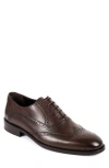 Vellapais Condotti Brogue Oxford In Brown