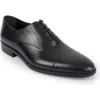 Vellapais Dinero Perforated Oxford In Black