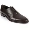 Vellapais Dinero Perforated Oxford In Dark Brown