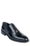 Vellapais Gambo Cap Toe Oxford Shoes In Black