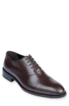 Vellapais Gambo Cap Toe Oxford Shoes In Dark Brown