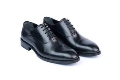 Vellapais Gambo Cap Toe Oxford Shoes In Black