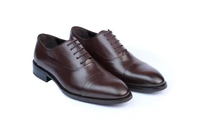 Vellapais Gambo Cap Toe Oxford Shoes In Dark Brown