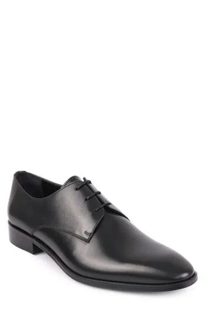 Vellapais Gorman Oxford In Black