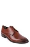 Vellapais Gorman Oxford In Cognac