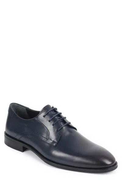 Vellapais Imperiali Plain Toe Derby In Blue