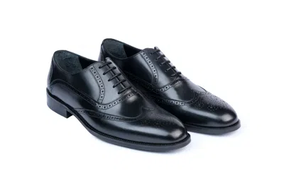 Vellapais Limya Wingtip Oxford Dress Shoes In Black