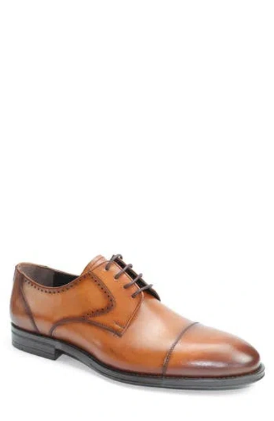 Vellapais Magnolia Cap Toe Derby In Brown