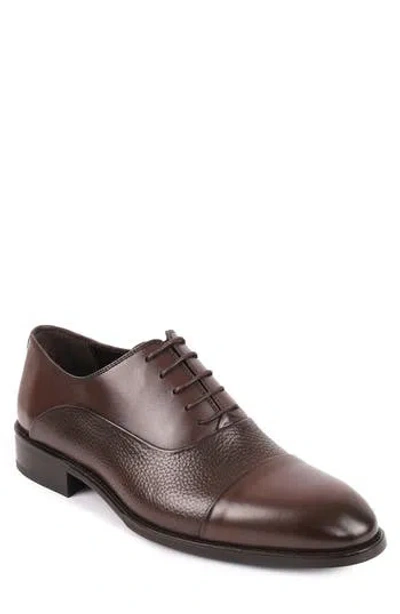 Vellapais Malone Derby In Brown