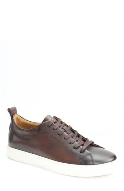 Vellapais Mango Low Top Sneaker In Brown