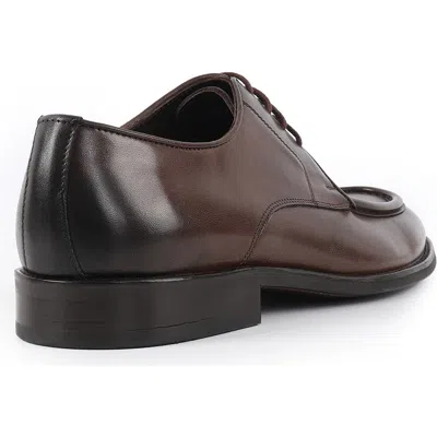 Vellapais Marcos Derby In Brown
