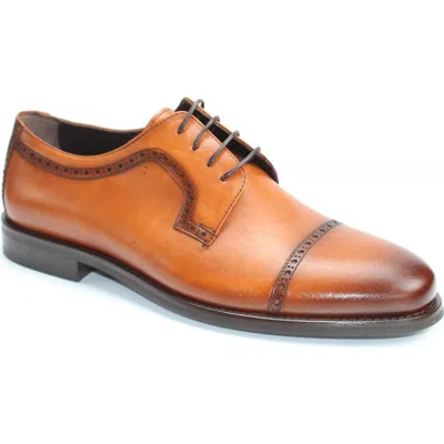 Vellapais Marion Cap Toe Derby In Brown