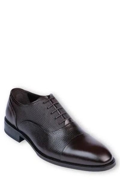 Vellapais Neda Cap Toe Oxford In Dark Brown