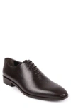 Vellapais Newark Oxford In Dark Brown