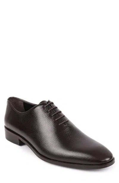 Vellapais Newark Oxford In Dark Brown