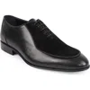 Vellapais Ovalo Oxford In Black