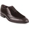 Vellapais Ovalo Oxford In Dark Brown