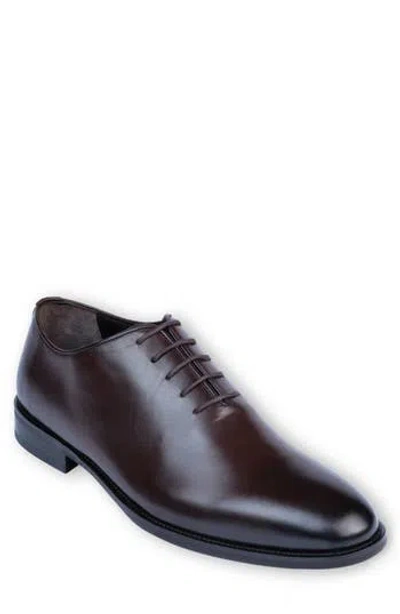 Vellapais Pile Oxford In Dark Brown