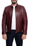 Vellapais Smooth Leather Jacket In Burgundy