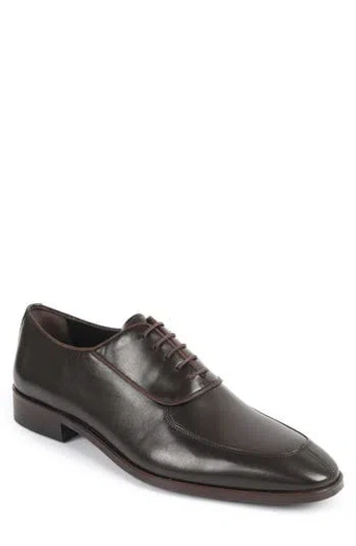 Vellapais Torino Oxford In Brown