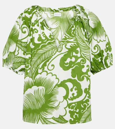 Velvet Angela Cotton Top In Green