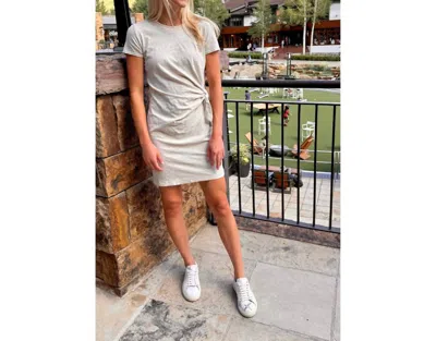 Velvet By Graham & Spencer Alma Mini Dress In Sand In Neutral