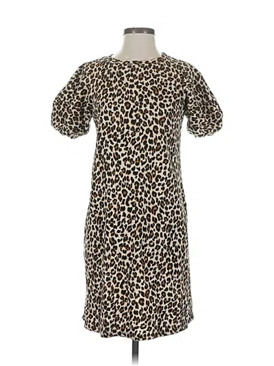 Pre-owned Velvet By Graham & Spencer Casual Dress In Brown